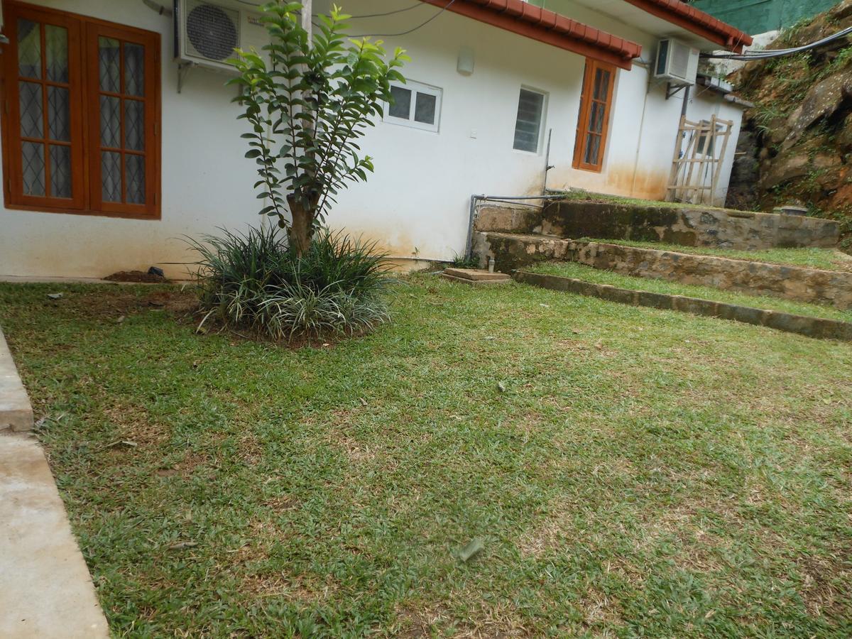 קנדי Lavender Hills Home Stay מראה חיצוני תמונה